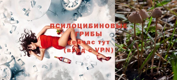 а пвп мука Бородино