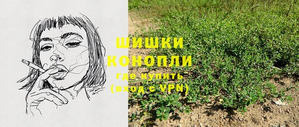 дурь Богородицк