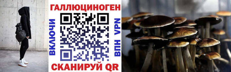 Галлюциногенные грибы MAGIC MUSHROOMS  кракен ССЫЛКА  Рыбинск 